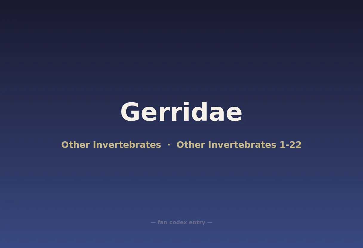 Gerridae