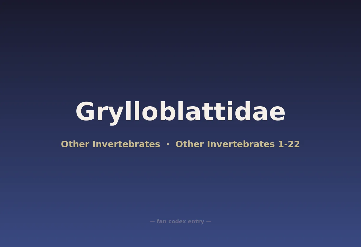 Grylloblattidae