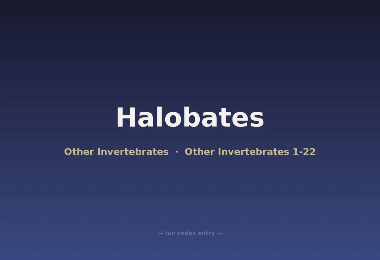 Halobates